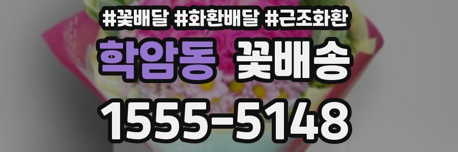 학암동 꽃배송