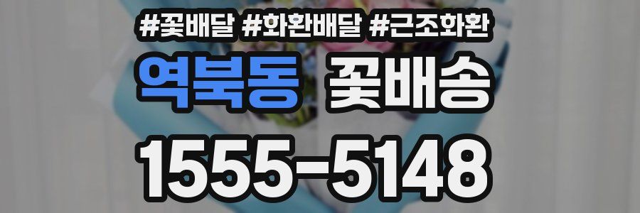 역북동 꽃배송