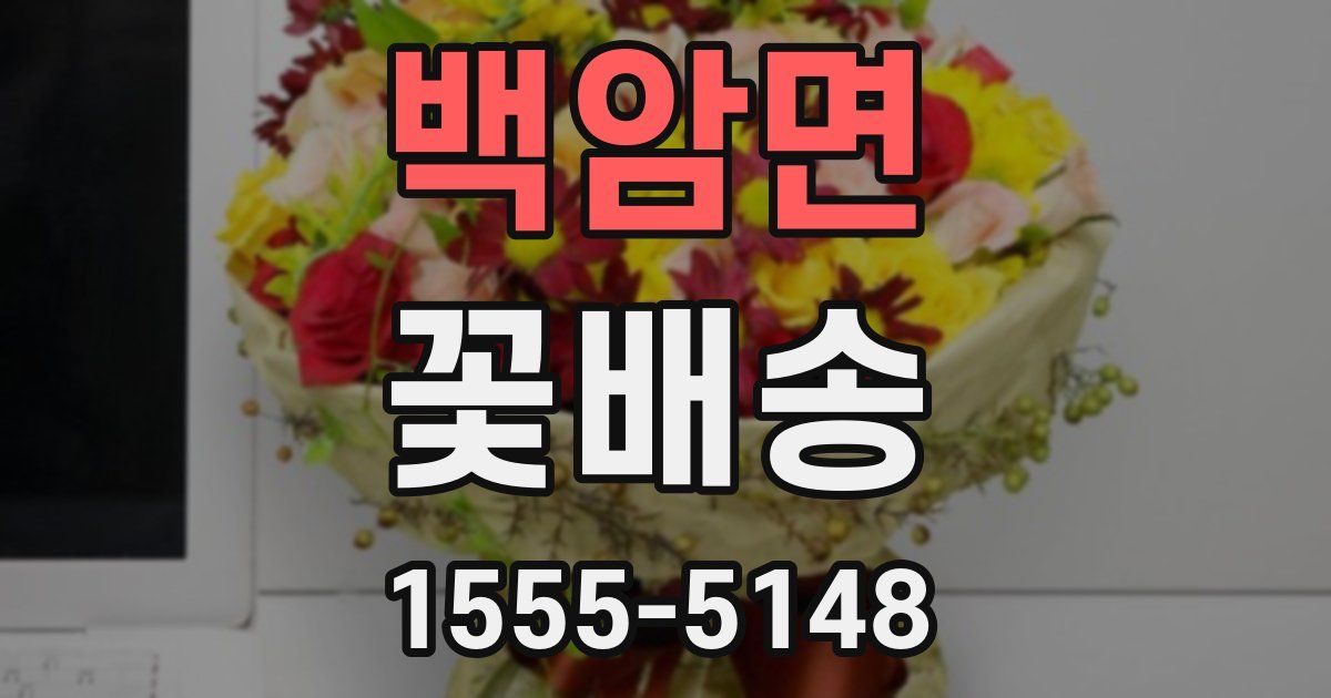 백암면 꽃배송