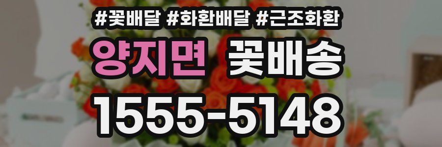 양지면 꽃배송