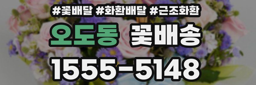오도동 꽃배송