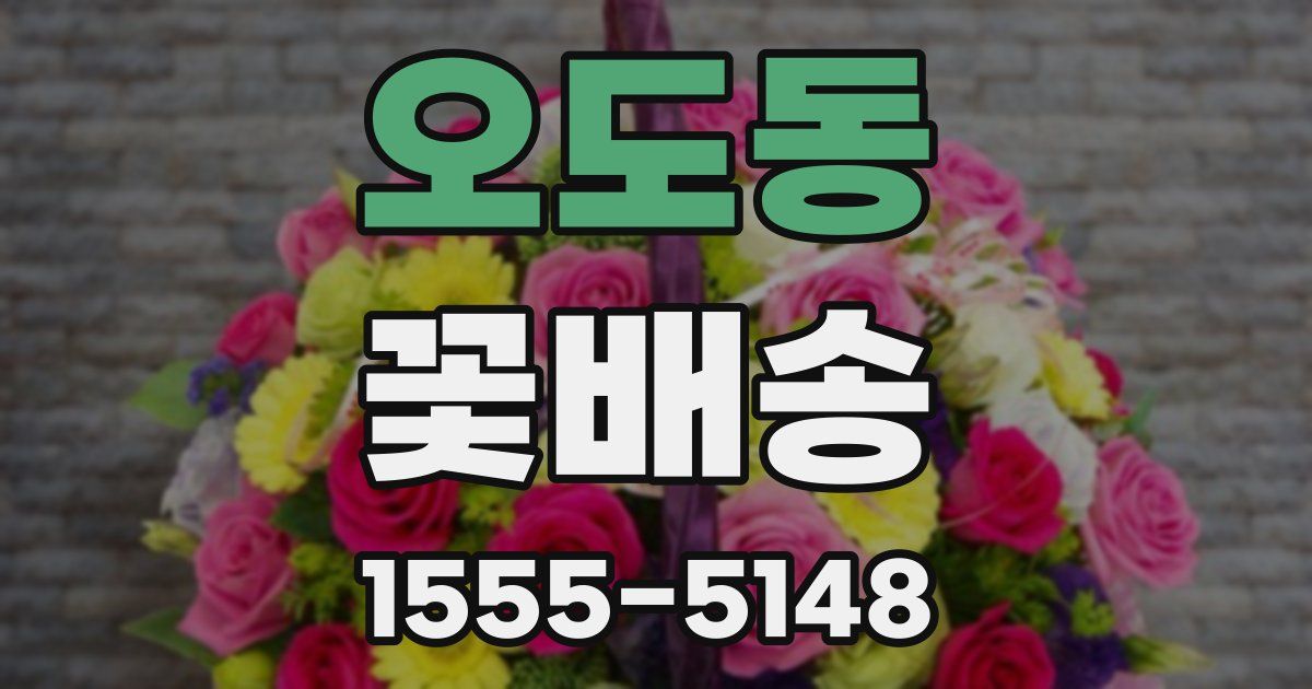 오도동 꽃배송