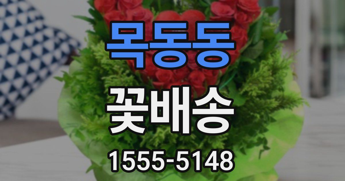목동동 꽃배송