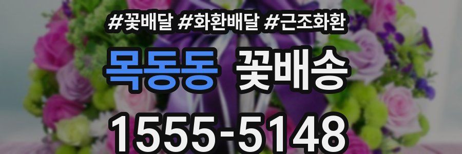 목동동 꽃배송