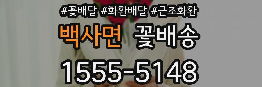 백사면 꽃배송