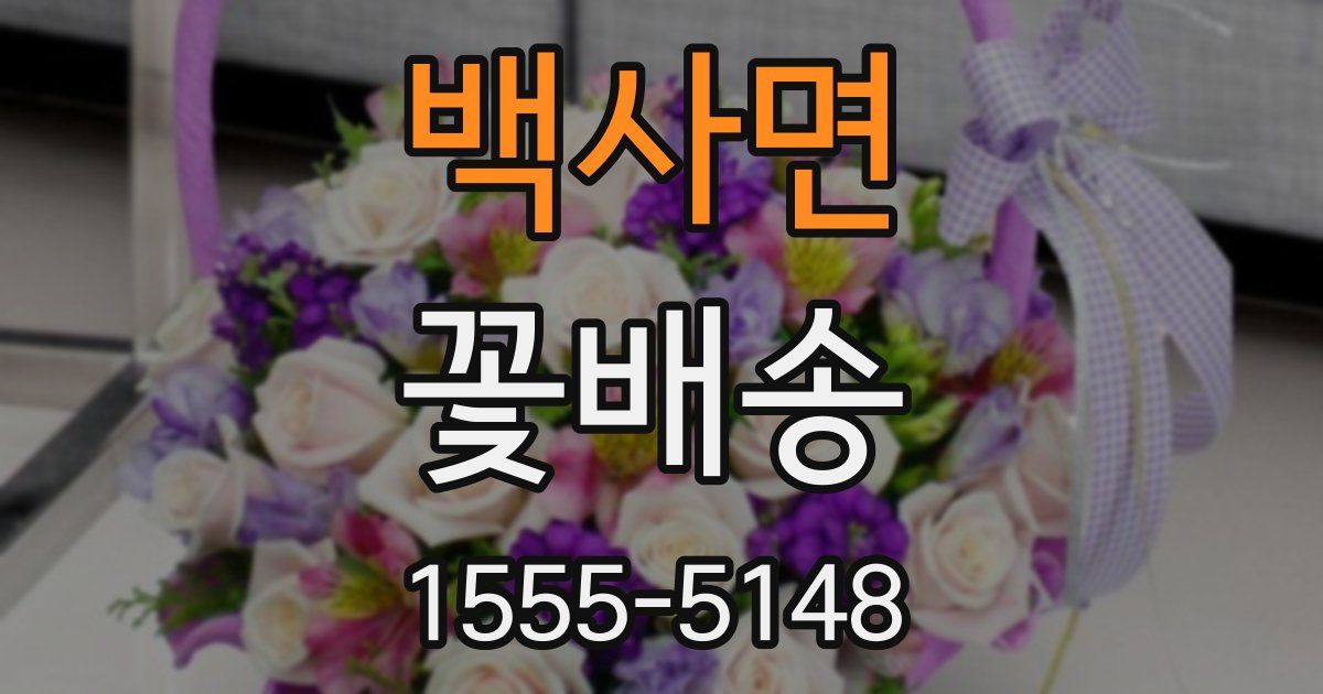 백사면 꽃배송