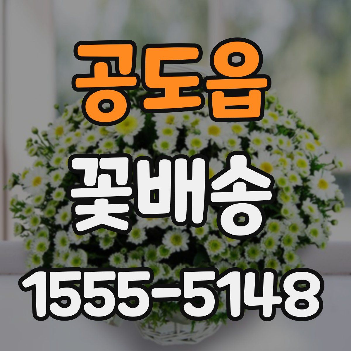 공도읍 꽃배송