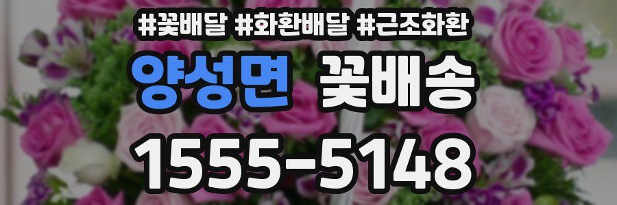 양성면 꽃배송