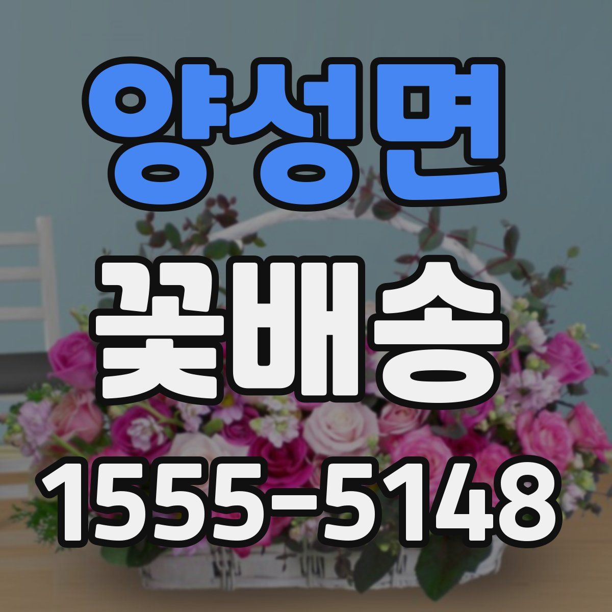 양성면 꽃배송