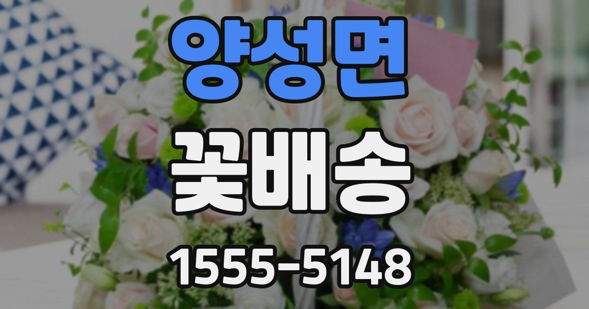 양성면 꽃배송