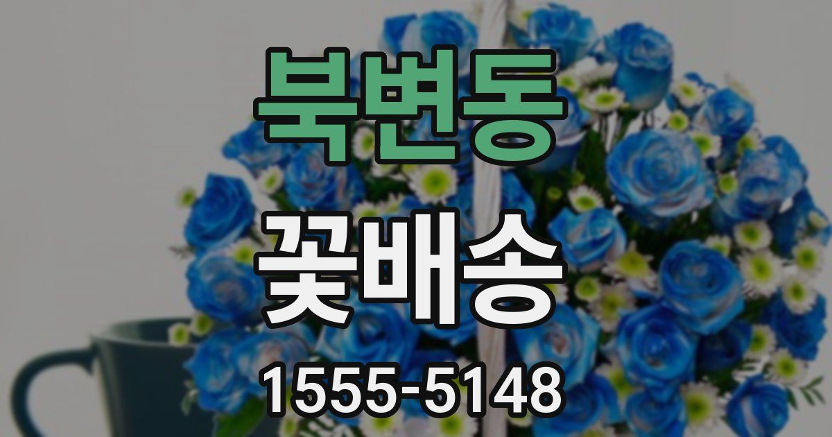 북변동 꽃배송