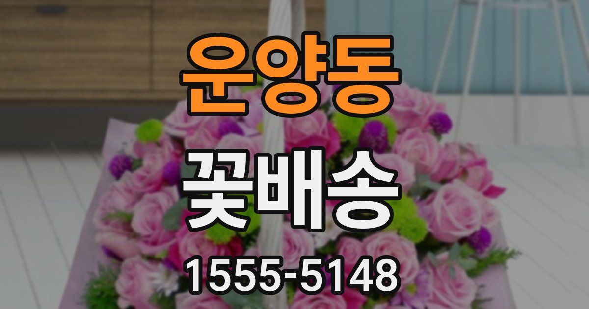 운양동 꽃배송