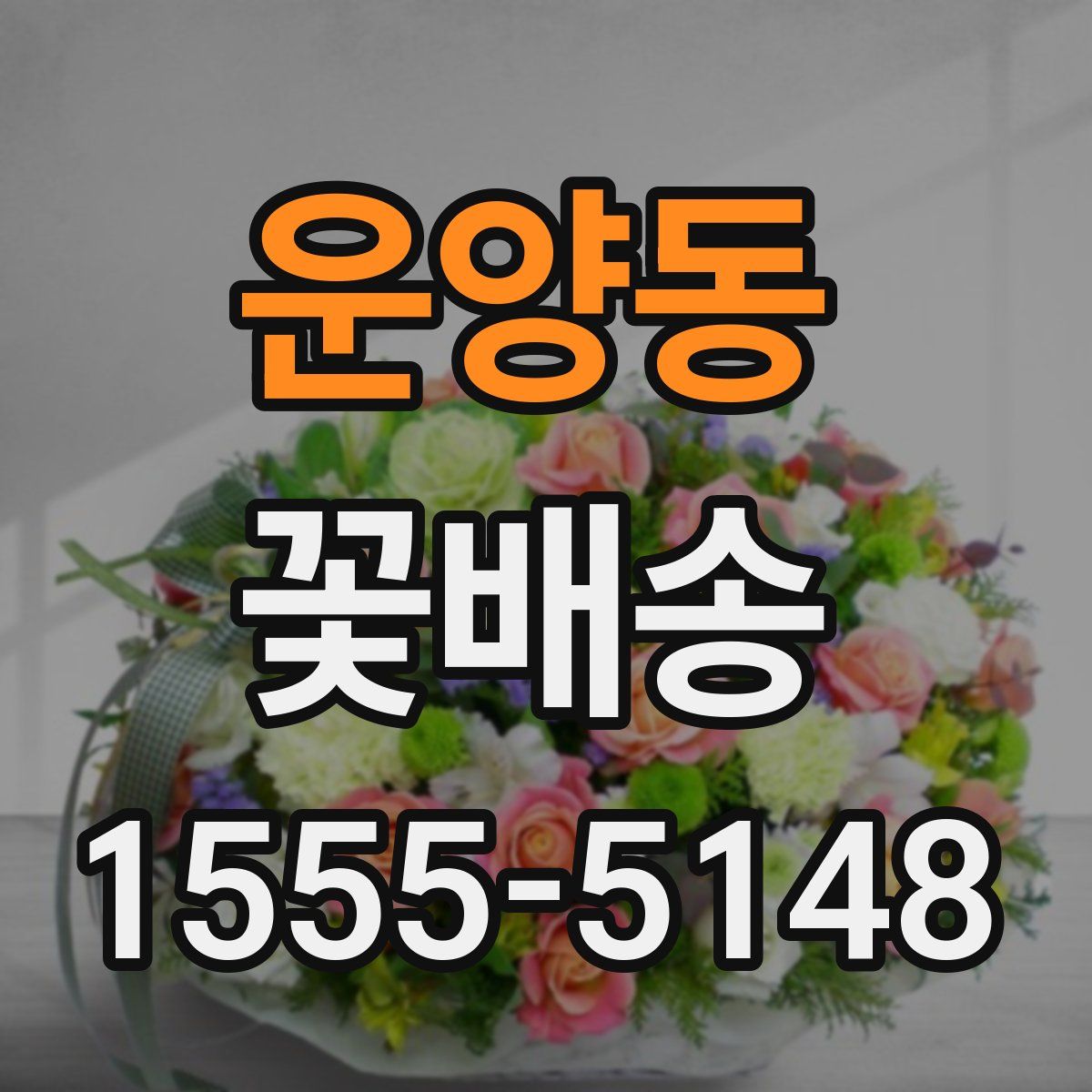 운양동 꽃배송