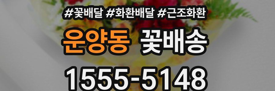 운양동 꽃배송