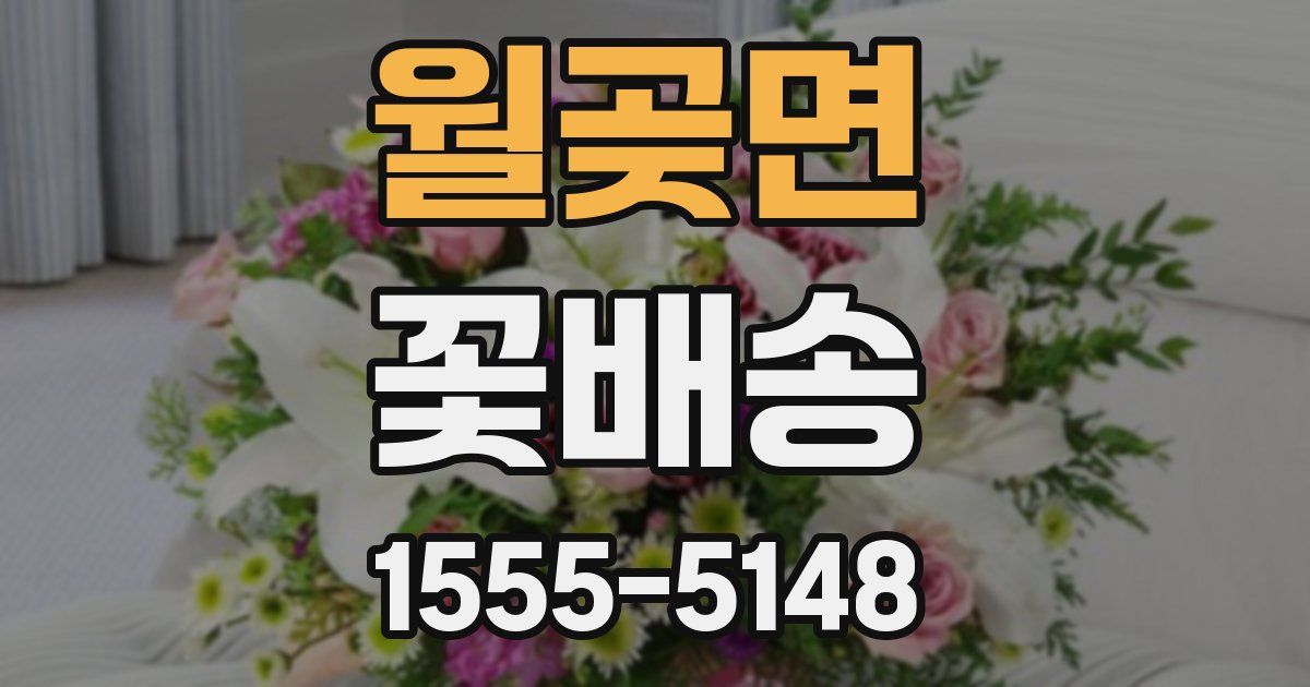 월곶면 꽃배송