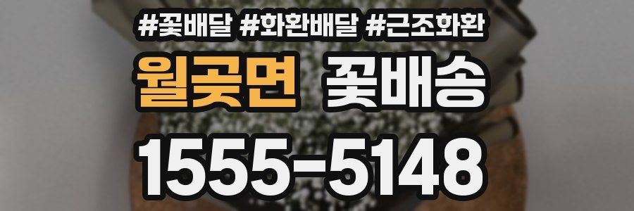 월곶면 꽃배송