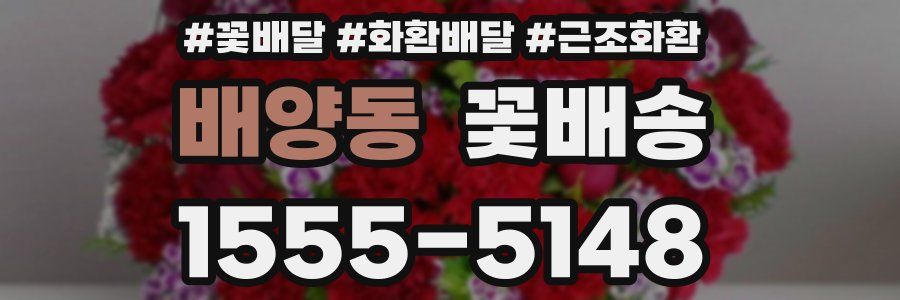 배양동 꽃배송