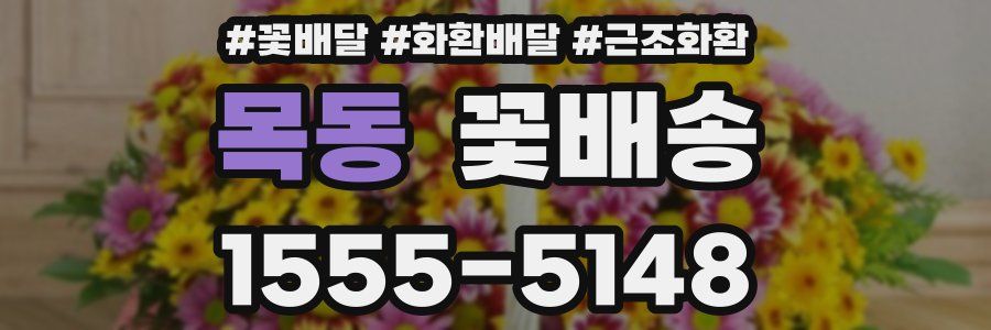 목동 꽃배송