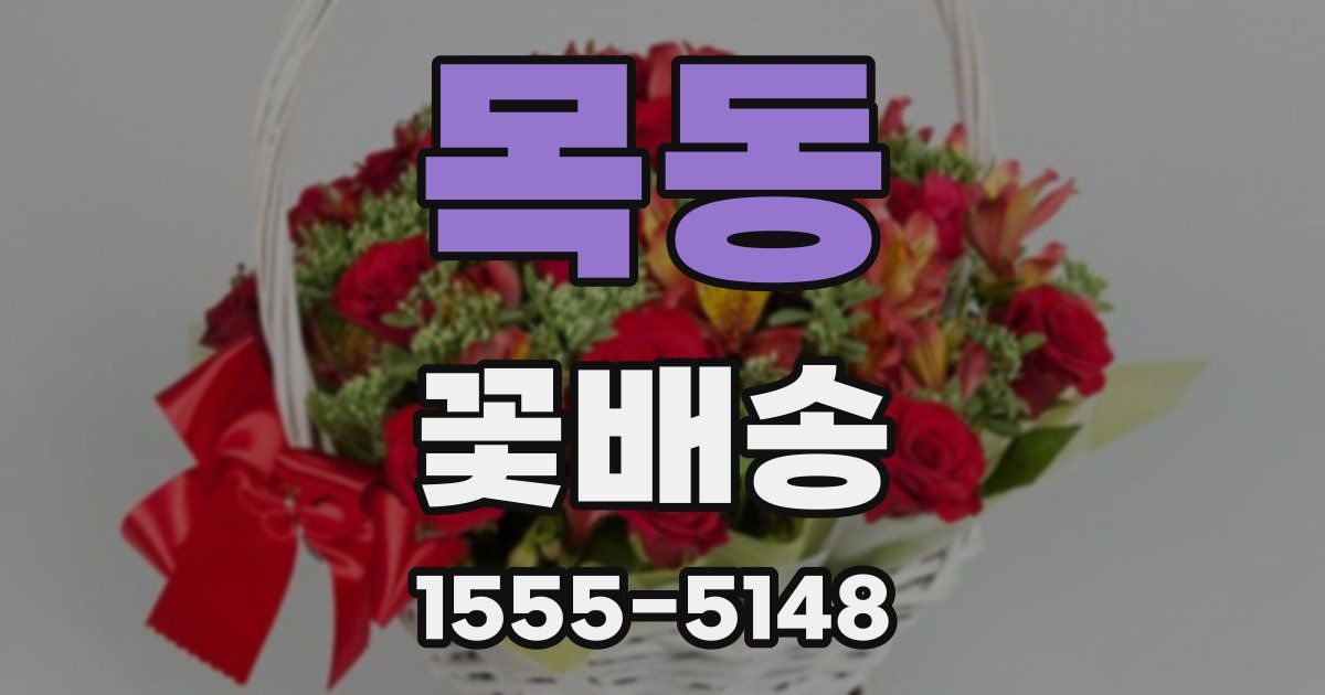 목동 꽃배송