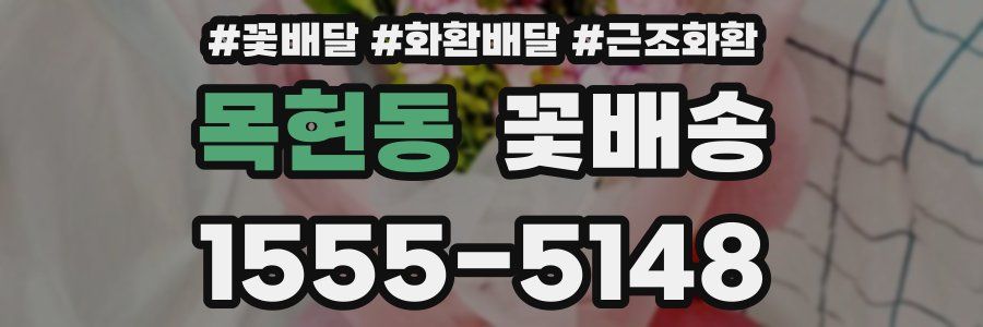 목현동 꽃배송
