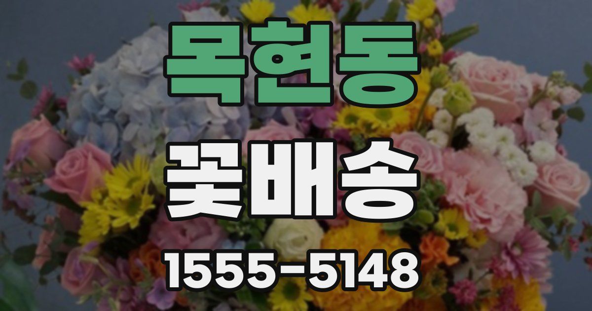 목현동 꽃배송