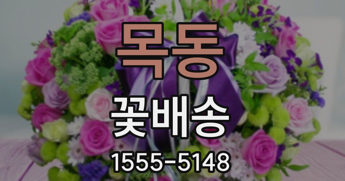 목동 꽃배송