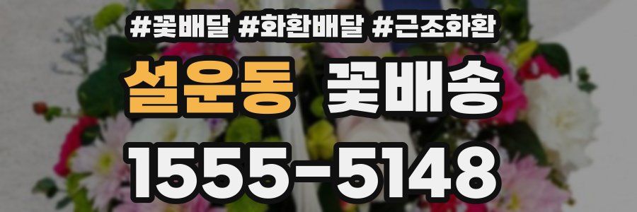 설운동 꽃배송