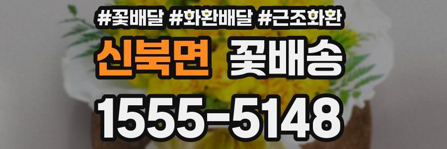 신북면 꽃배송