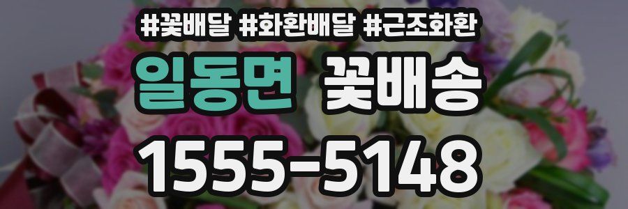 일동면 꽃배송
