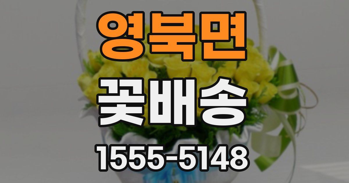 영북면 꽃배송