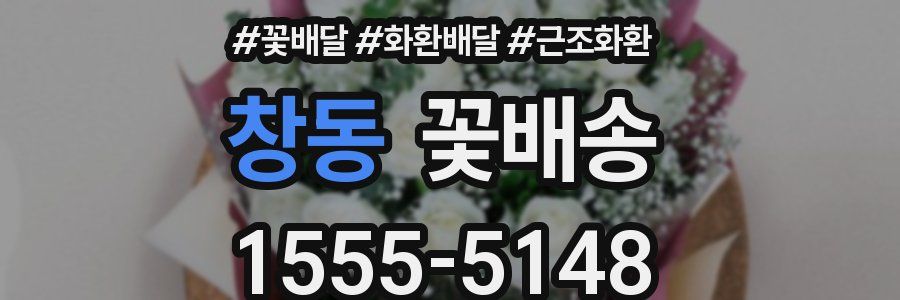 창동 꽃배송