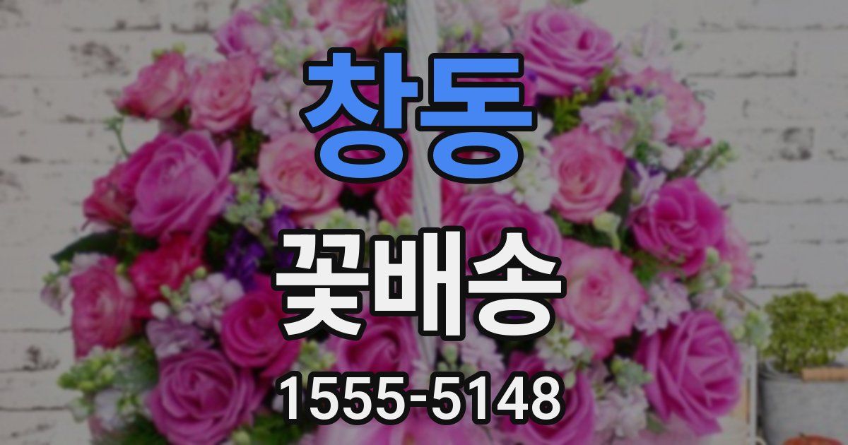 창동 꽃배송