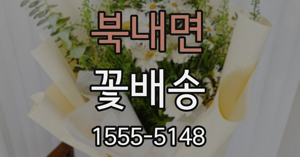 북내면 꽃배송