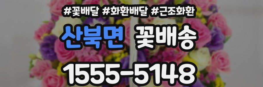 산북면 꽃배송