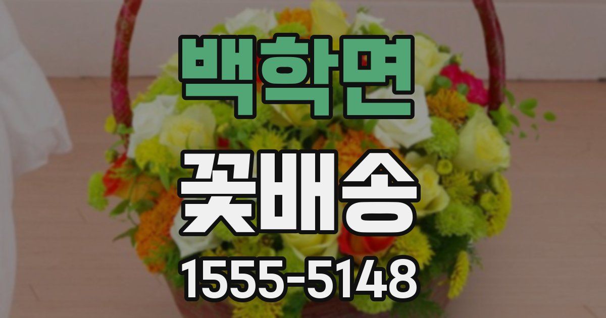 백학면 꽃배송