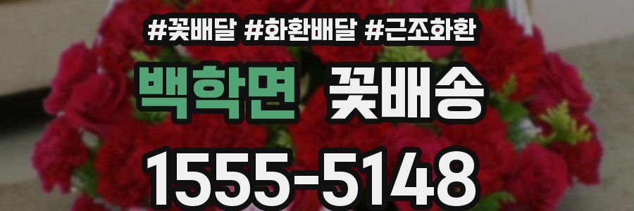 백학면 꽃배송