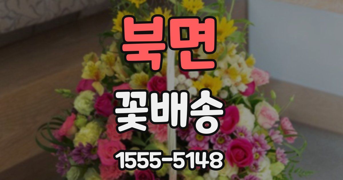 북면 꽃배송