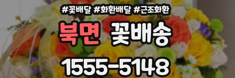 북면 꽃배송