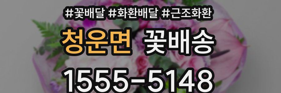 청운면 꽃배송
