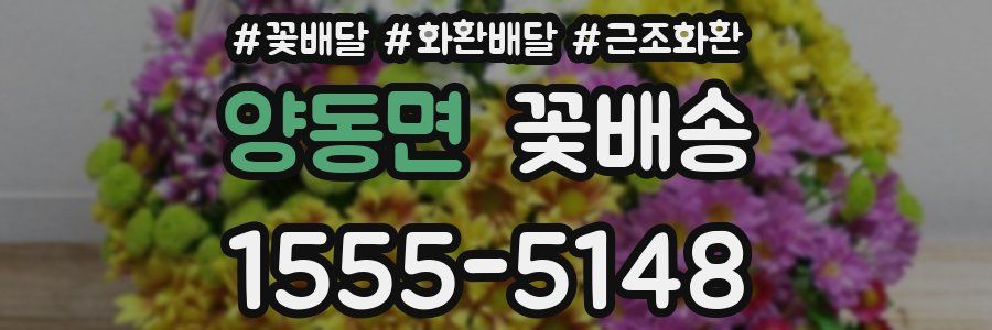 양동면 꽃배송