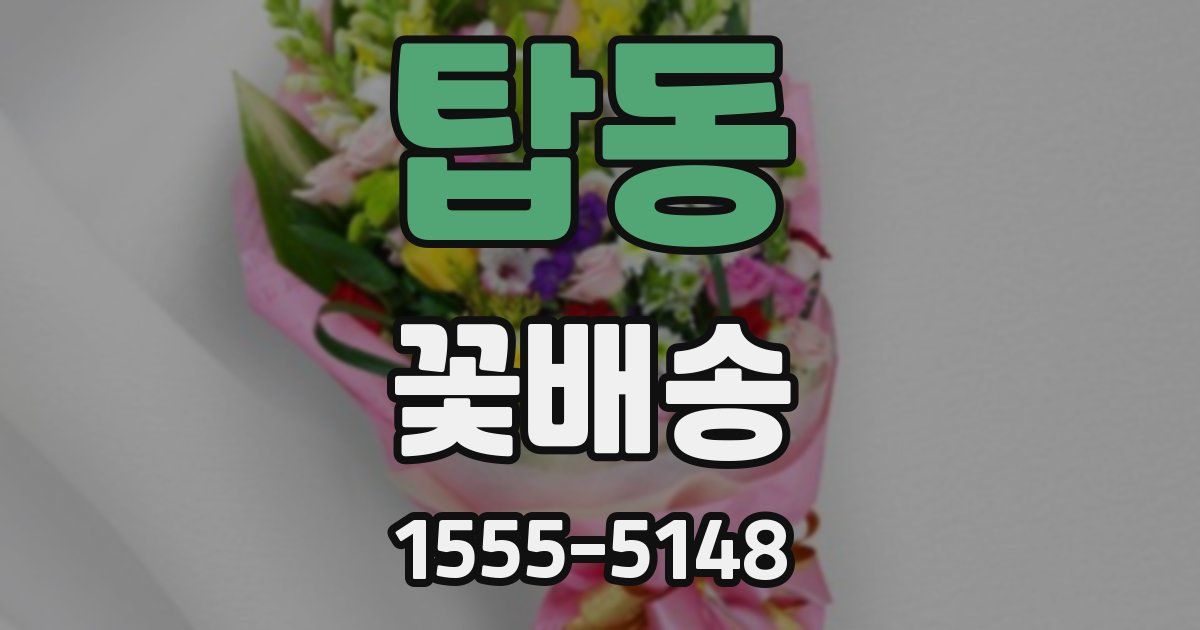 탑동 꽃배송