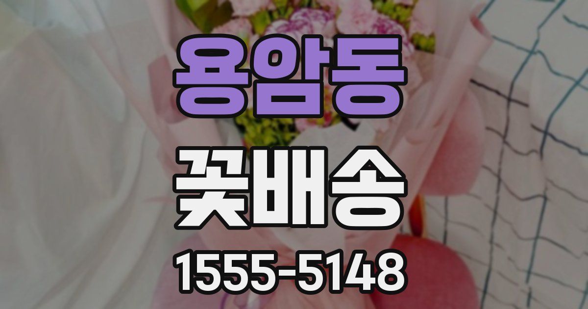 용암동 꽃배송