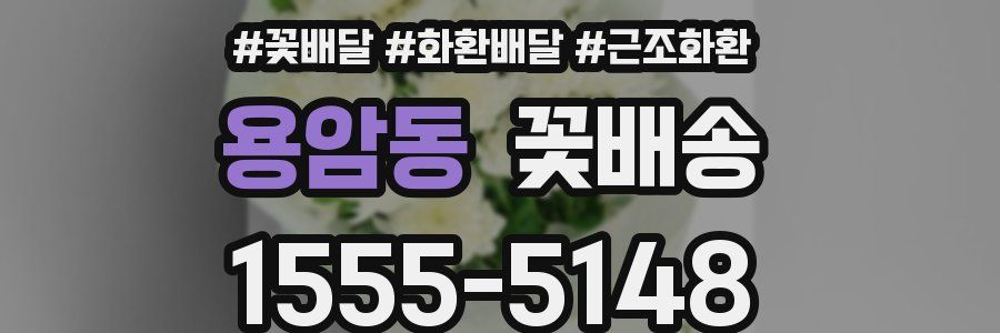 용암동 꽃배송