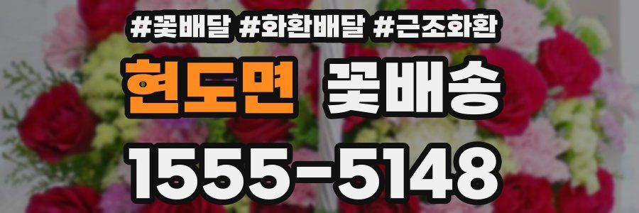 현도면 꽃배송
