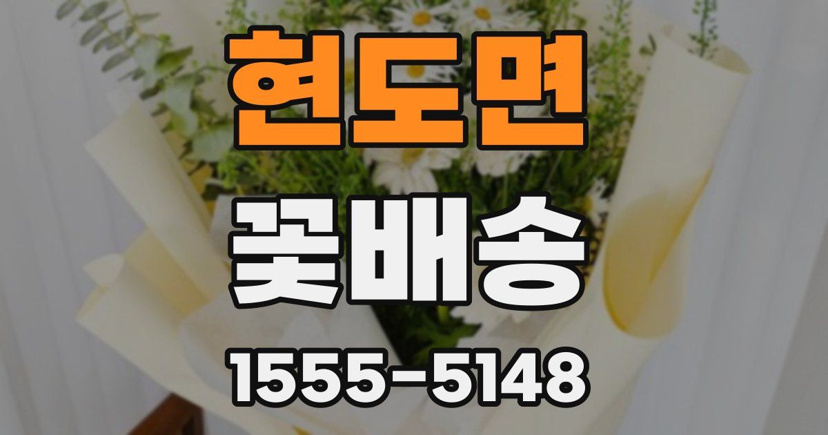 현도면 꽃배송