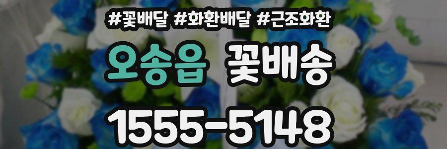오송읍 꽃배송