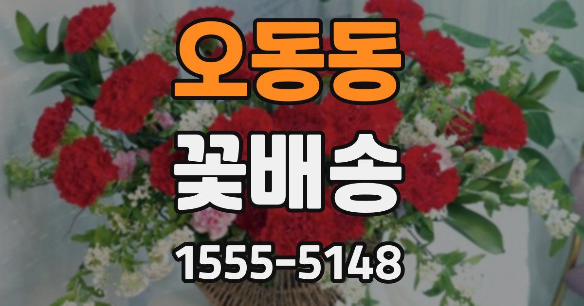 오동동 꽃배송