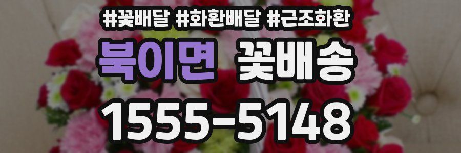 북이면 꽃배송