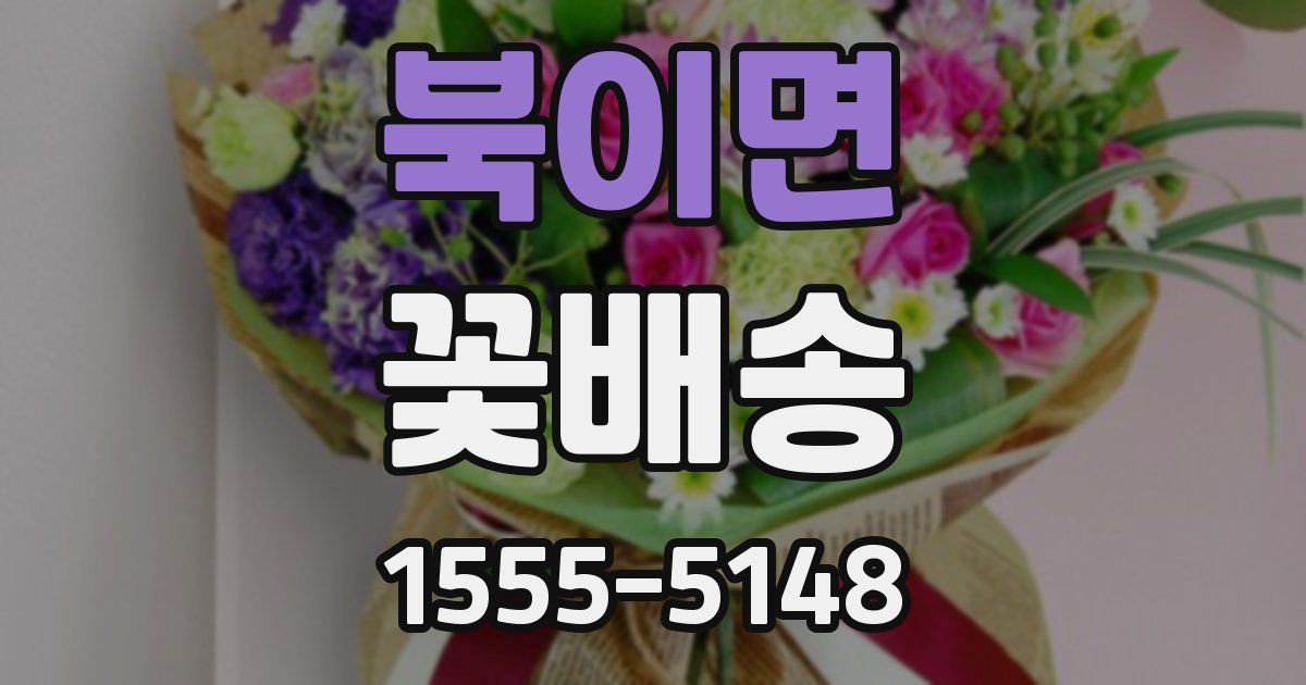 북이면 꽃배송