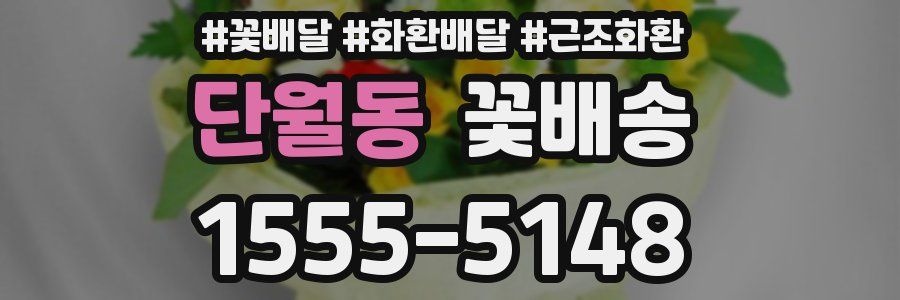 단월동 꽃배송